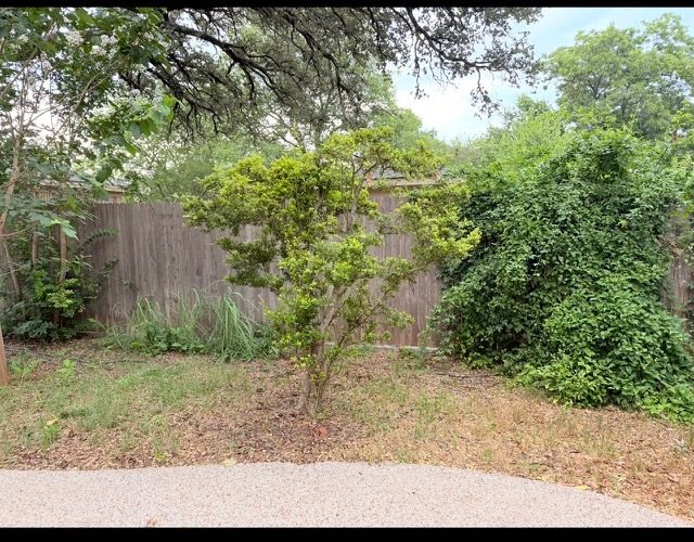 Overgrown mulch bed before clean up
