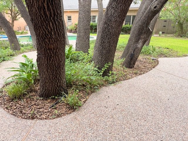 Mulch bed along walking path