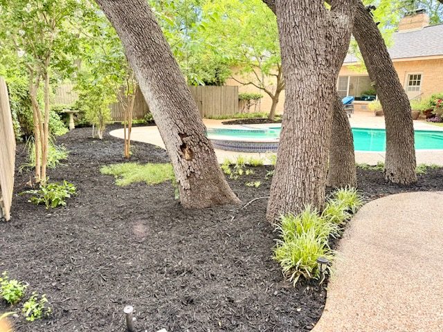 Landscape bed around mature trees