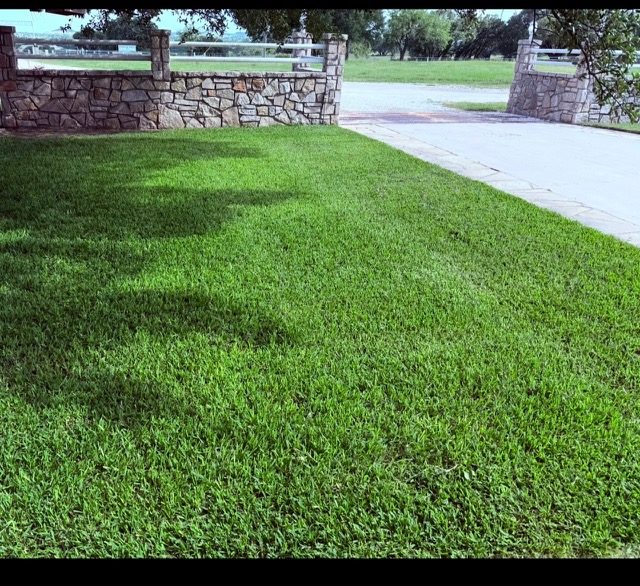 Manicured lawn mowing, Stephenville TX