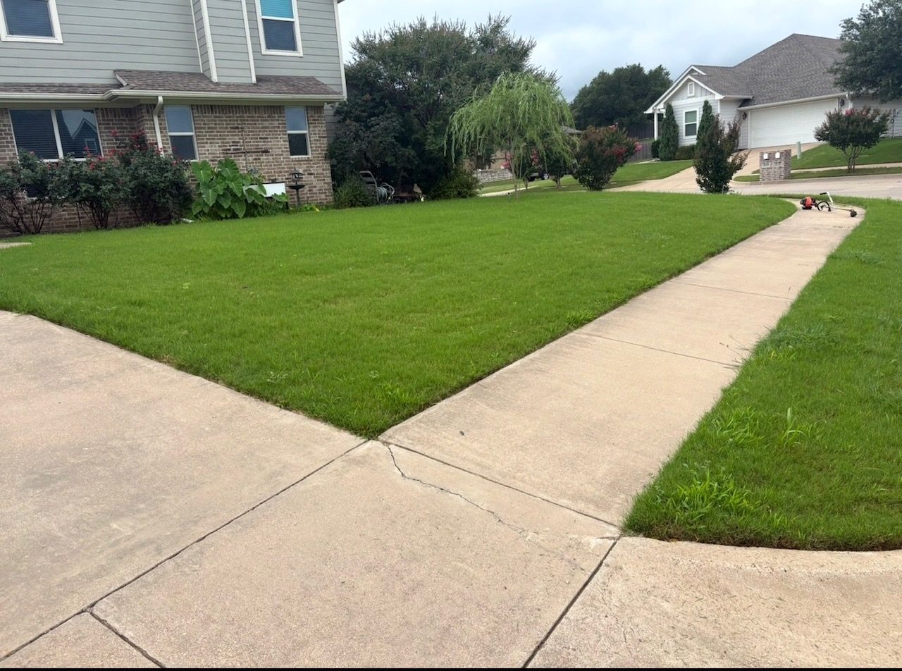 Front yard and driveway before mowing