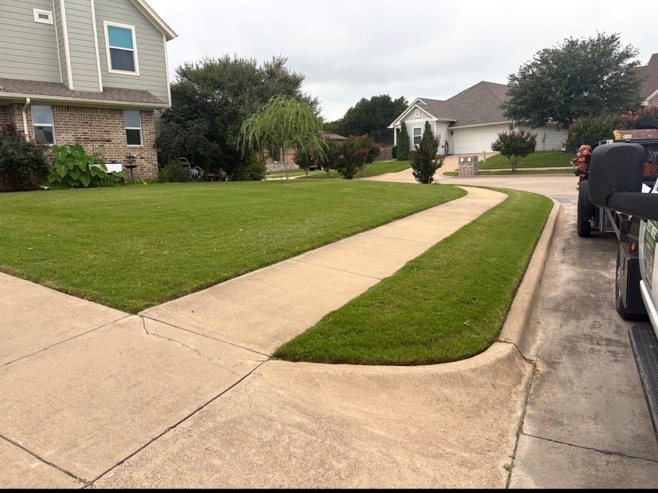 Freshly mowed lawn with mowing lines