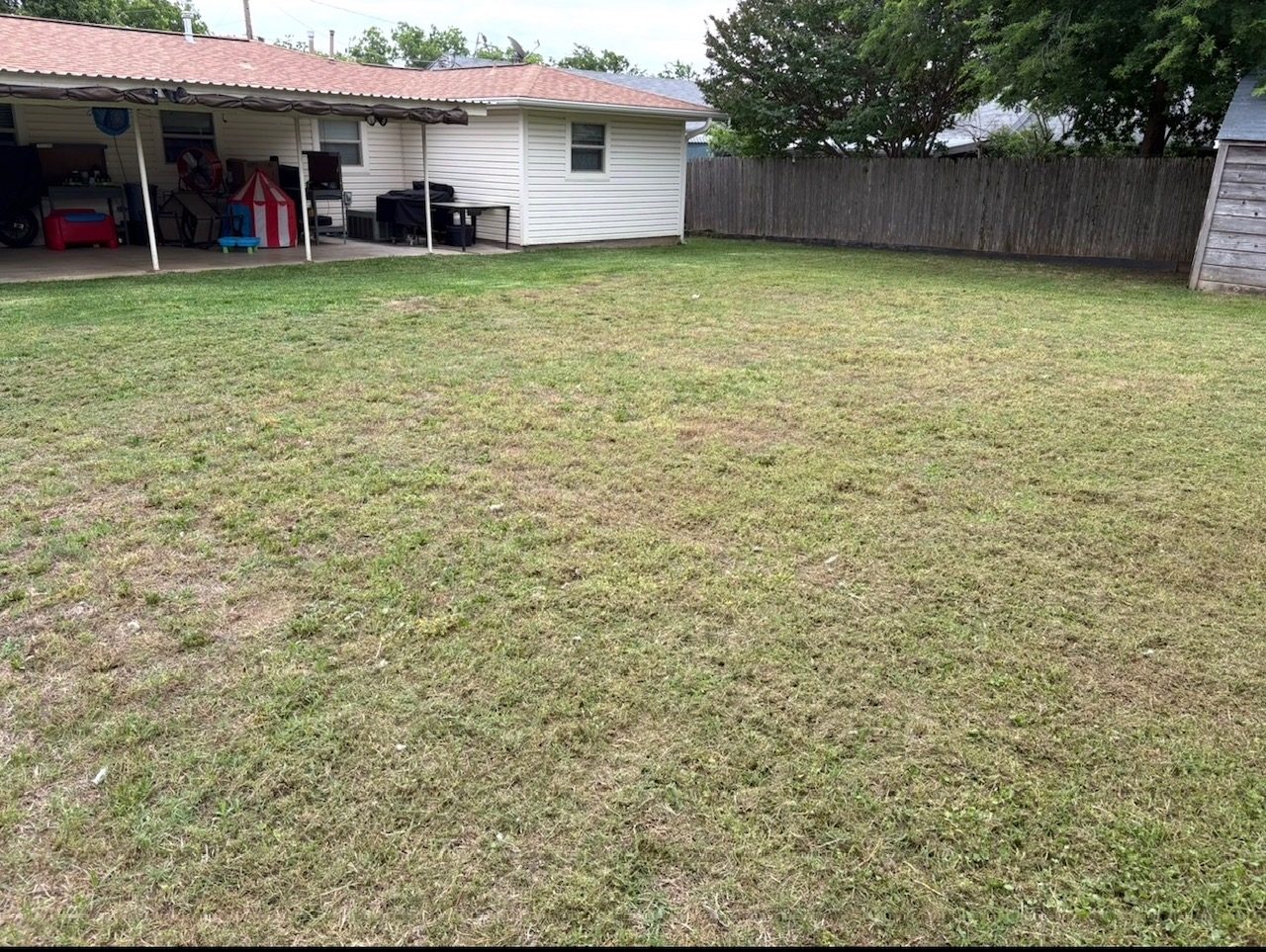 Lawn after mowing service