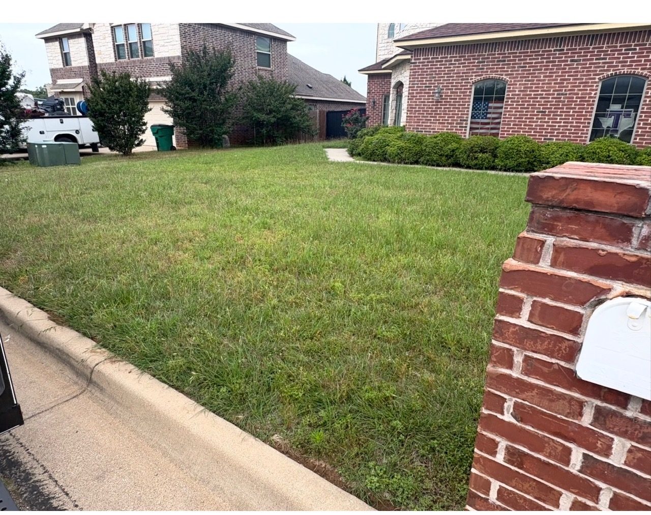 Lawn corner near mailbox before mowing