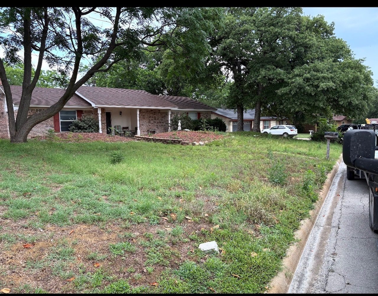 Lawn before mowing service